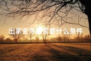 出家去寺庙需要什么条件—《揭秘出家修行：走进寺庙的宁静生活》