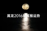 属龙2016年属猴运势_2016属龙人的命运