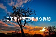 《子平八字正印核心揭秘：命运解析新视角》
