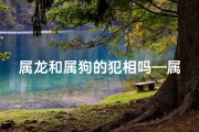 属龙和属狗的犯相吗—属龙人狗年运势：犯冲还是转运？