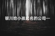 银川给小孩起名的公司—银川宝宝取名：传承银川之美，寓意满满的名字