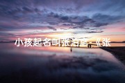 小孩起名叫张泊彦-《张泊彦：童真闪耀，未来可期》