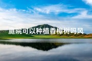 庭院可以种植香樟树吗风水、庭院风水：香樟树种植宜忌解析