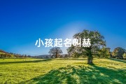 小孩起名叫赫