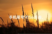 手机尾号9156吉凶、9958手机尾号吉凶
