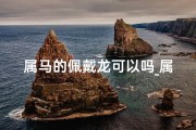 属马的佩戴龙可以吗_属马佩戴龙饰，吉祥如意好运来