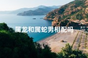 属龙和属蛇男相配吗