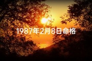 1987年2月8日命格-1987年2月8日阴历