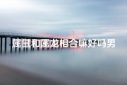 属鼠和属龙相合嘛好吗男