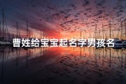 曹姓给宝宝起名字男孩名字(五行属木儒雅有内涵的曹姓男孩名字有哪些)