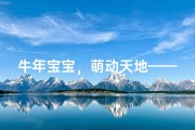牛年宝宝，萌动天地——宝宝小名大揭秘