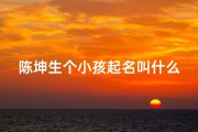 陈坤生个小孩起名叫什么;陈坤生二胎了吗