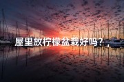屋里放柠檬盆栽好吗？,客厅摆放柠檬风水禁忌揭秘