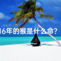 16年的猴是什么命？-《猴年生肖揭秘：16年属猴者的独特命格》