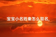 宝宝小名姓秦怎么取名,《秦宝宝：温馨小名，传递爱的呼唤》