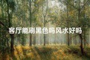 客厅能刷黑色吗风水好吗(客厅刷黑色风水怎么样？宜忌解析)