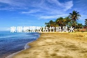 家里能摆放枯竹吗风水-家里放枯木好吗风水