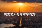 属龙之人有外财命吗为什么