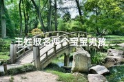 王姓取名两个宝宝男孩-王姓取名两个宝宝男孩怎么取