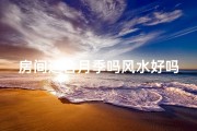 房间适合月季吗风水好吗