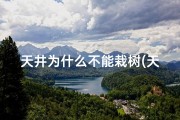 天井为什么不能栽树(天井种树风水禁忌揭秘：真的不能种树吗？)