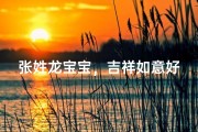 张姓龙宝宝，吉祥如意好名字揭晓