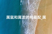 属鼠和属龙的相最配_属鼠和属龙的相配吗