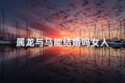 属龙与马能结婚吗女人