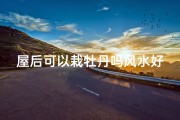 屋后可以栽牡丹吗风水好吗