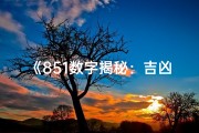 《851数字揭秘：吉凶之间，命运如何抉择？》