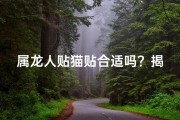 属龙人贴猫贴合适吗？揭秘生肖与宠物相性