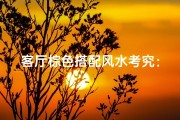 客厅棕色搭配风水考究：美与吉利的和谐之选