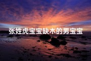 张姓虎宝宝缺木的男宝宝名字