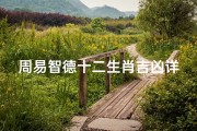 周易智德十二生肖吉凶详解(周易智德的个人网页)