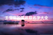 王宝宝的男孩取名字大全(属龙王姓宝宝高分名字时尚潮流的男孩高分名字)
