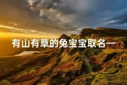 有山有草的兔宝宝取名—《山野草丛中的可爱兔宝宝》
