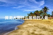 属龙人用什么属相的人最好;属龙枪法揭秘：龙之利爪，枪出如龙