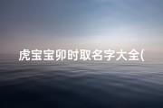 虎宝宝卯时取名字大全(虎宝宝根据时辰出生取名)