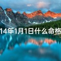 14年1月1日什么命格,2014年1月14日出生属什么生肖