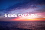 若驰宝宝取名大全男孩—若字取名