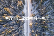 客厅可以放树根吗—客厅摆树根风水禁忌揭秘
