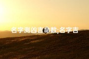 名字测凶吉命数;名字吉凶测试真的那么重要吗？知乎热议