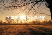 91年男士是什么命格的人,91年生人属于什么命