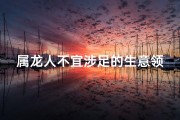 属龙人不宜涉足的生意领域揭秘