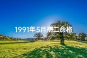 1991年5月初二命格(1991年5月初二命格：揭秘独特命运之谜)