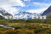 珩字取名好吗—蛇年宝宝吉祥名：珩字寓意，智慧与品德兼备