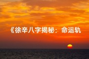 《徐辛八字揭秘：命运轨迹深度解析》