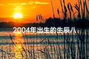2004年出生的生辰八字命理;2004年生辰是什么命