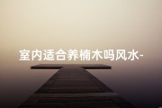 室内适合养楠木吗风水-室内养楠木风水宜忌解析