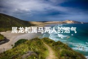 属龙和属马两人的运气